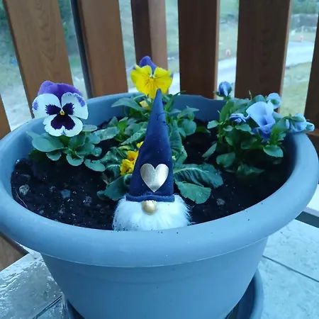 Apartman Casa Feltrin *