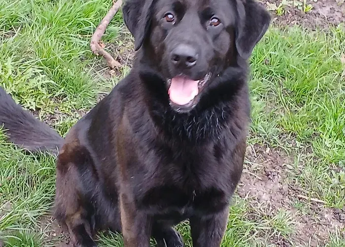 Casa Feltrin Lejlighed Fae (Belluno)