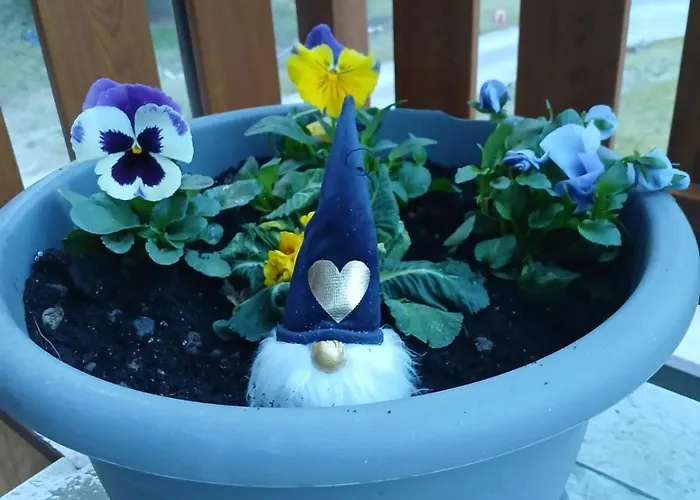 Lejlighed Casa Feltrin *